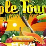 tripletoucan-676x353-Button.jpg