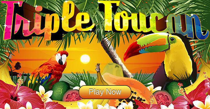 tripletoucan-676x353-Button.jpg