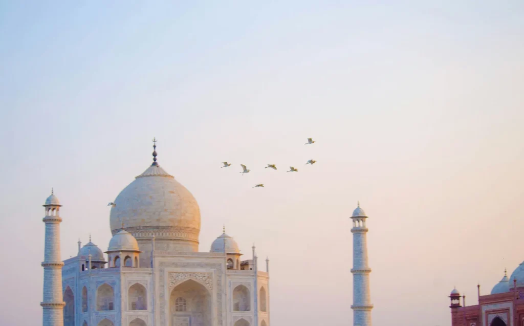 arka-roy-GokDJlUKaKQ-unsplash.webp.webp