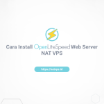 openlitespeed_server-1.png