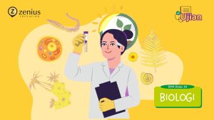 Contoh-Soal-PATASAT-Biologi-Kelas-10.jpg